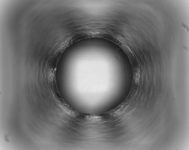 X0000095510476200712281442