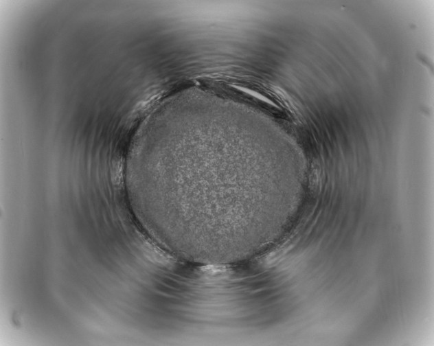 X0000095510477200712281442