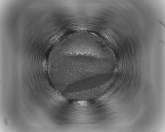 X0000095510478200712281442