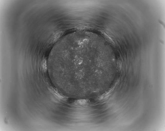 X0000095510479200712281442