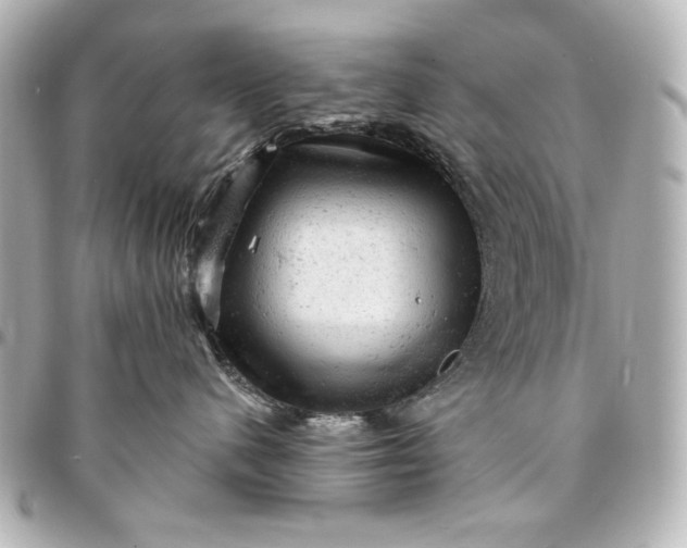 X0000095510480200712281442