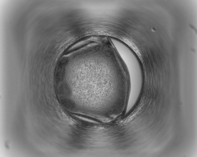 X0000095510481200712281441