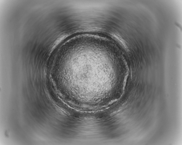 X0000095510483200712281441