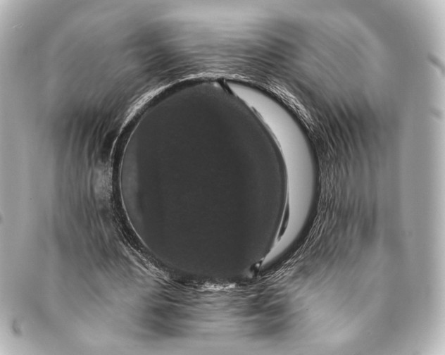 X0000095510484200712281441