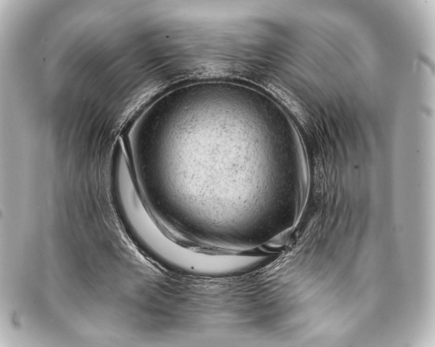 X0000095510485200712281441