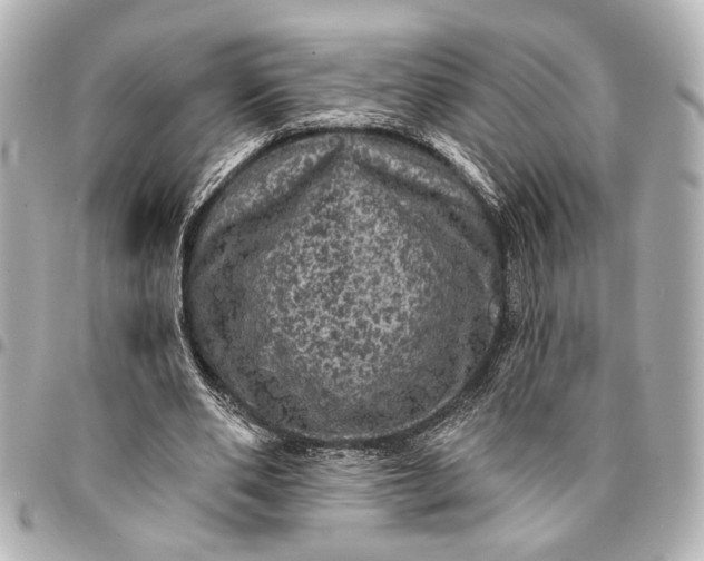 X0000095510486200712281441