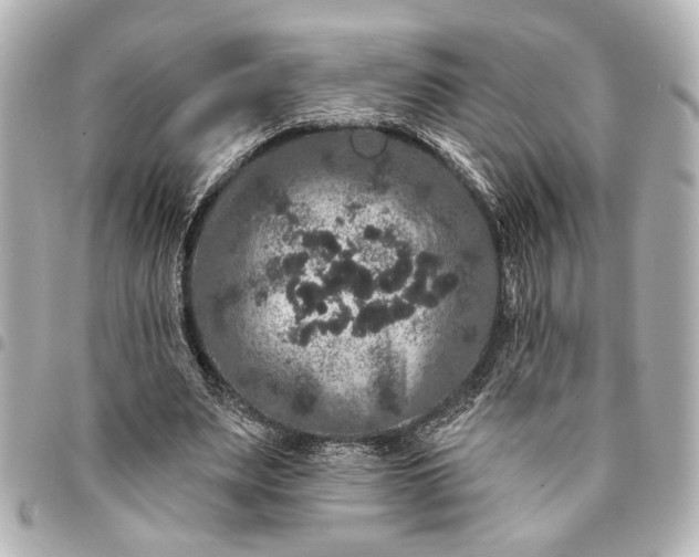 X0000095510487200712281441