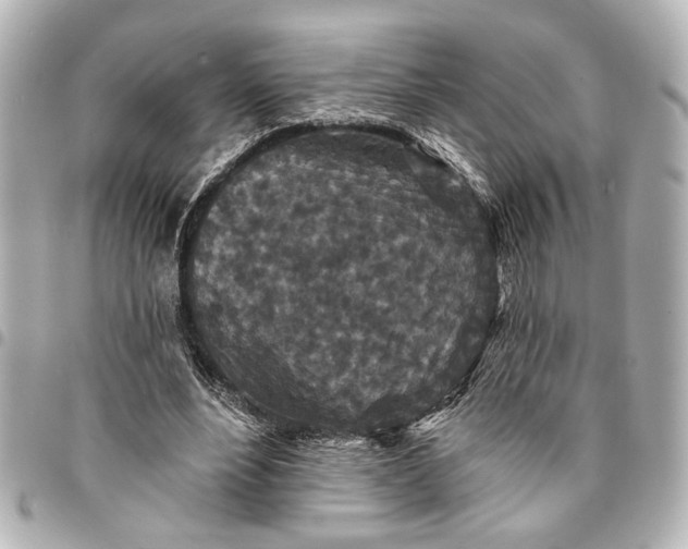 X0000095510488200712281441