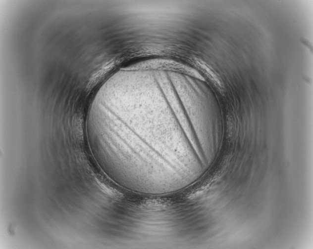 X0000095510489200712281441
