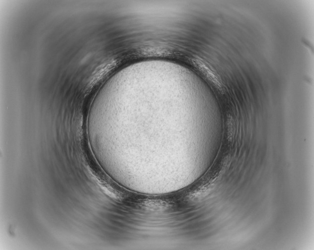 X0000095510490200712281441