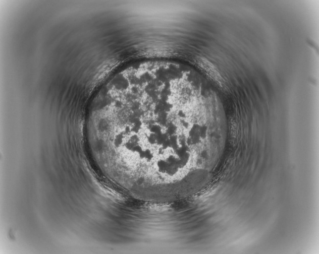 X0000095510491200712281441