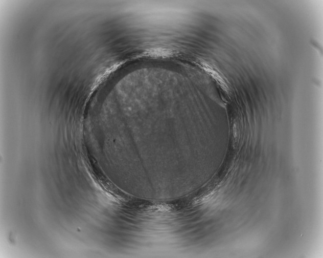 X0000095510492200712281441