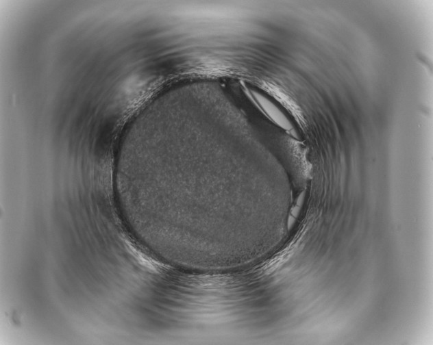 X0000095510493200712281441