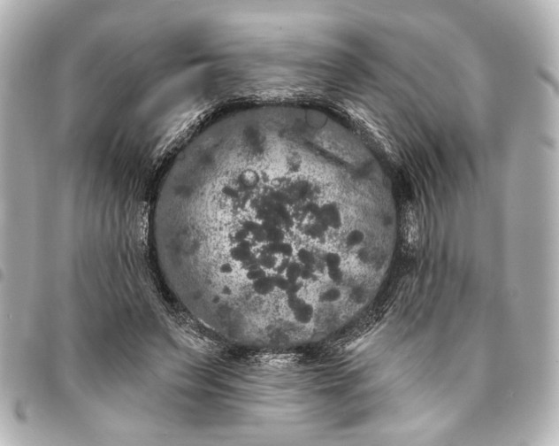 X0000095510495200712281441