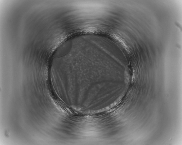 X0000095510496200712281441