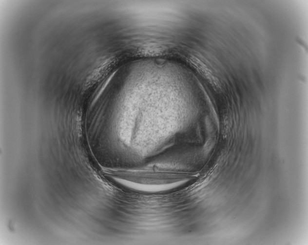 X0000095510497200712281441