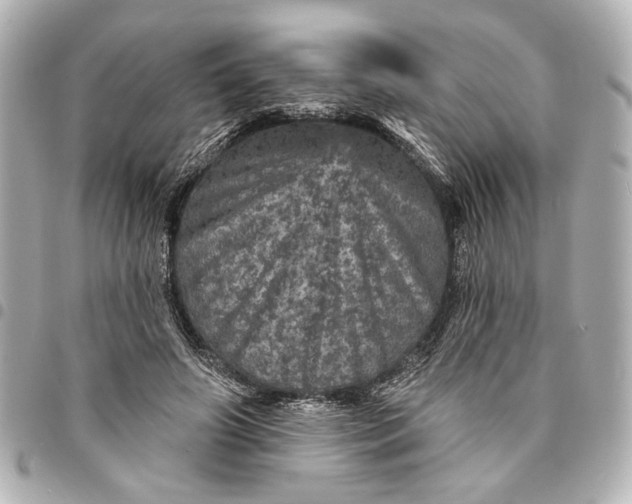 X0000095510498200712281441