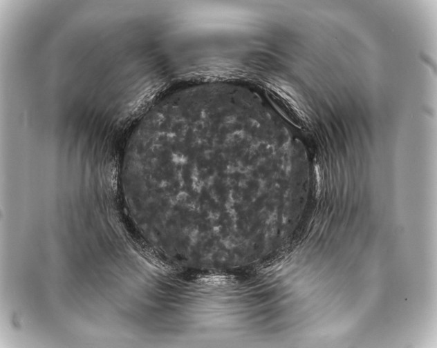 X0000095510499200712281441