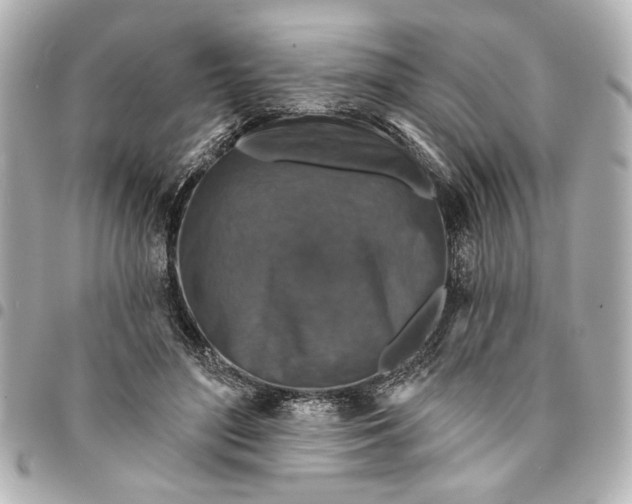 X0000095510500200712281441
