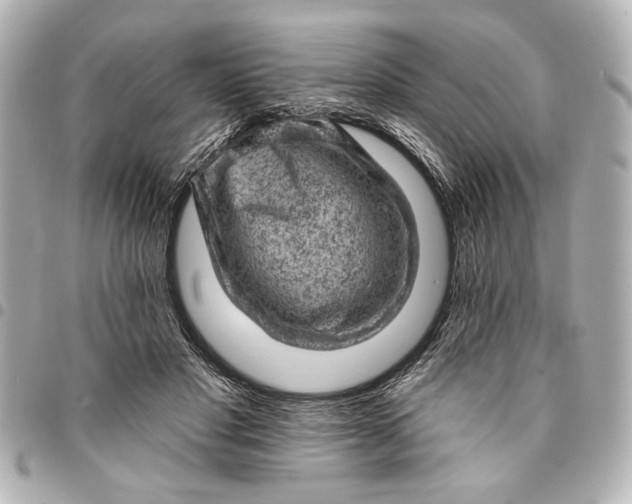 X0000095510501200712281441