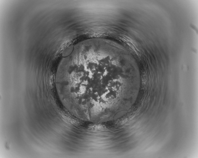 X0000095510503200712281441