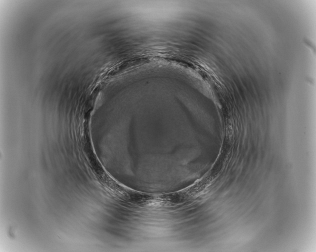 X0000095510504200712281441