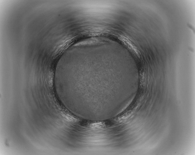 X0000095510505200712281441