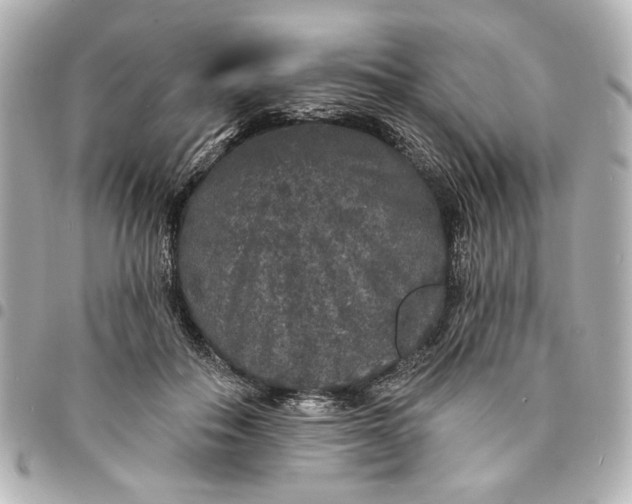X0000095510506200712281441