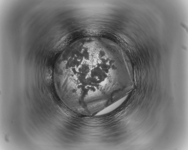 X0000095510507200712281441