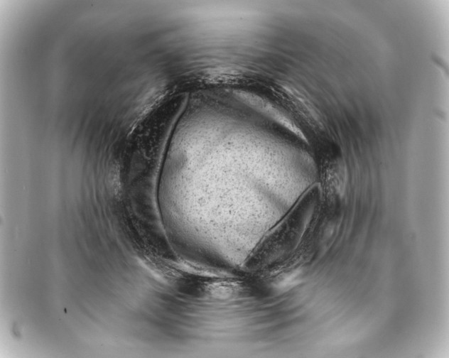 X0000095510508200712281441