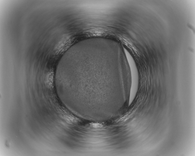 X0000095510509200712281441