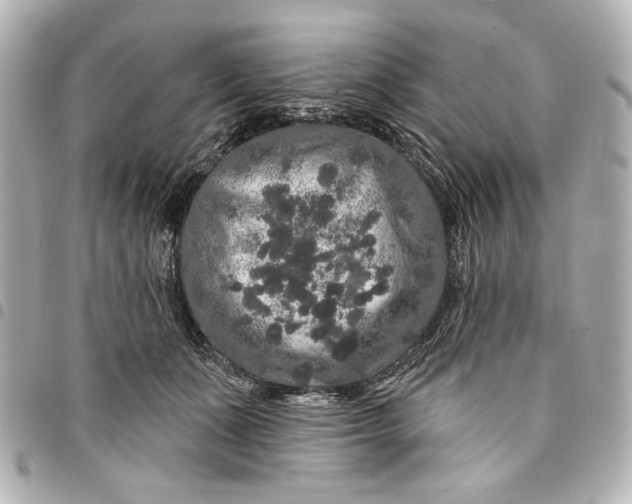 X0000095510511200712281441