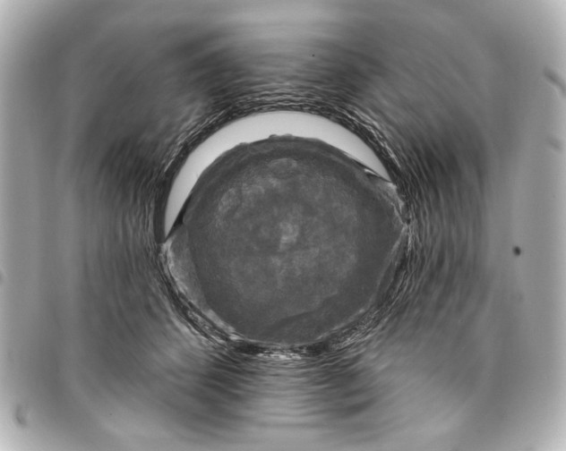 X0000095510512200712281441