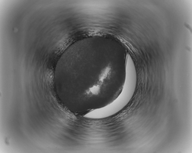 X0000095510513200712281441
