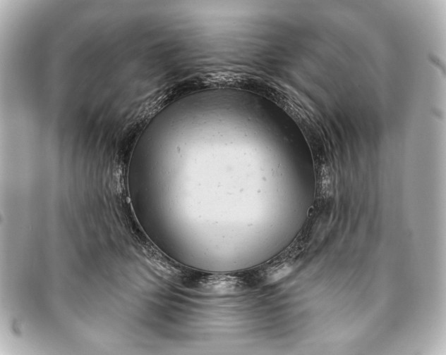 X0000095510514200712281441