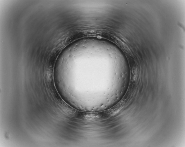 X0000095510515200712281441