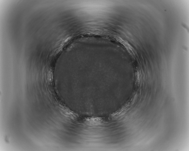 X0000095510517200712281441