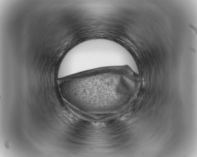 X0000095510520200712281441