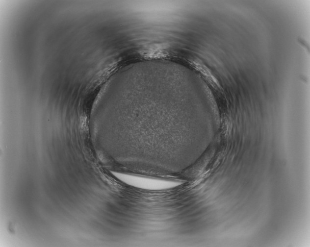 X0000095510521200712281440