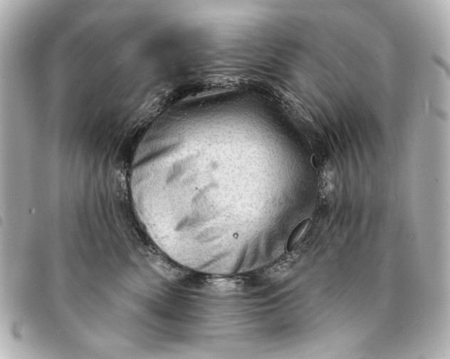 X0000095510522200712281440