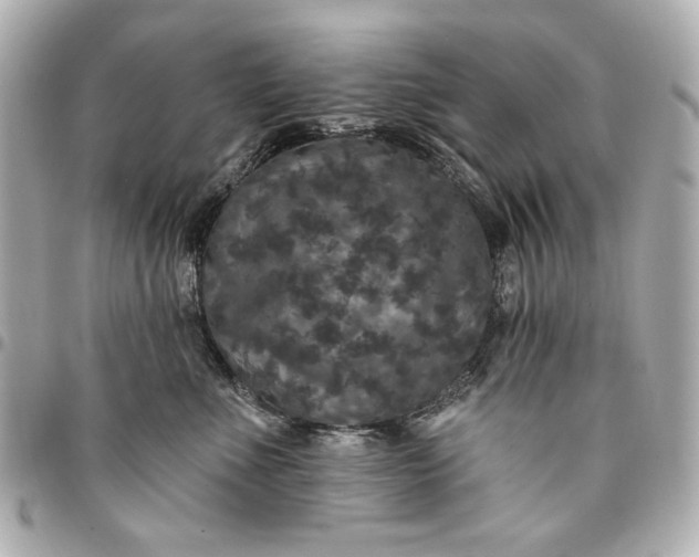 X0000095510523200712281440