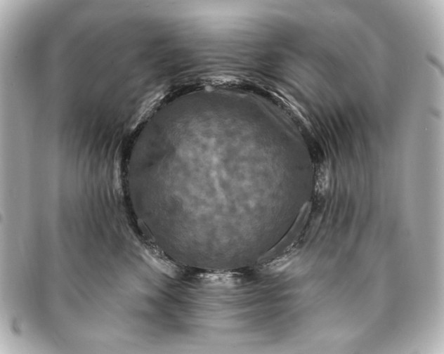 X0000095510524200712281440