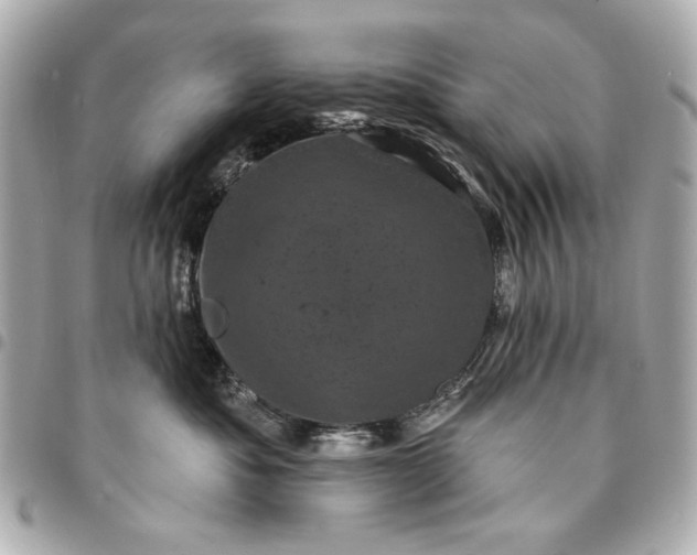 X0000095510525200712281440