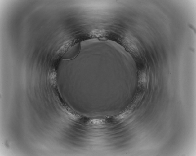 X0000095510526200712281440