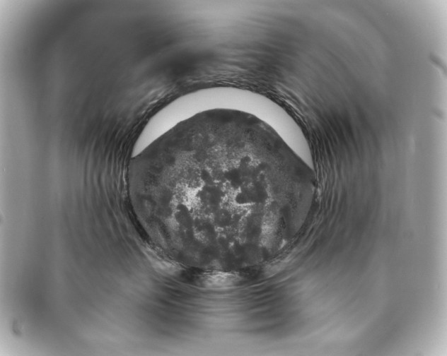 X0000095510527200712281440