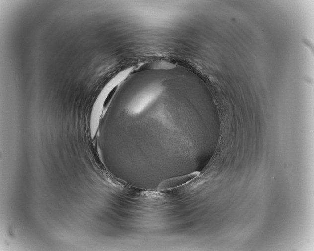 X0000095510528200712281440