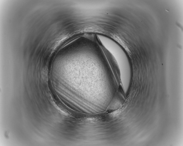 X0000095510530200712281440