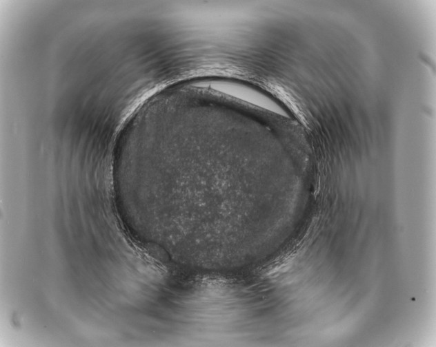 X0000095510531200712281440