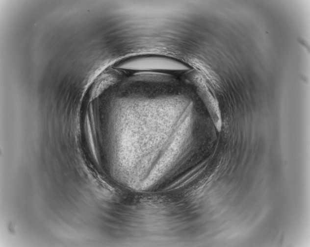 X0000095510532200712281440