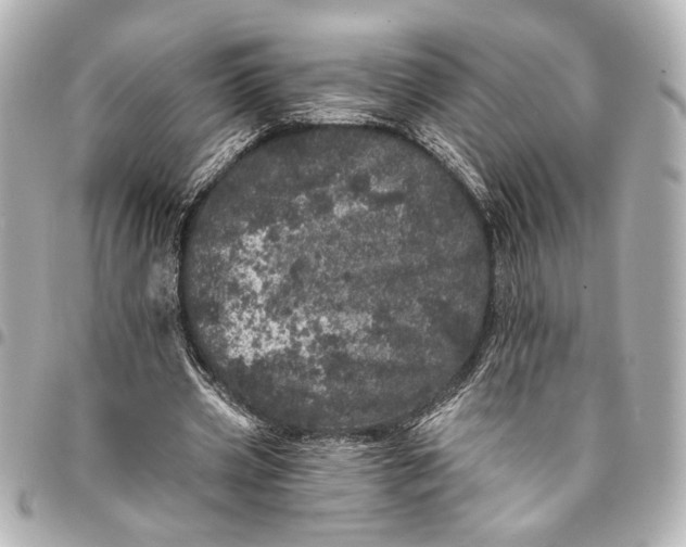 X0000095510533200712281440